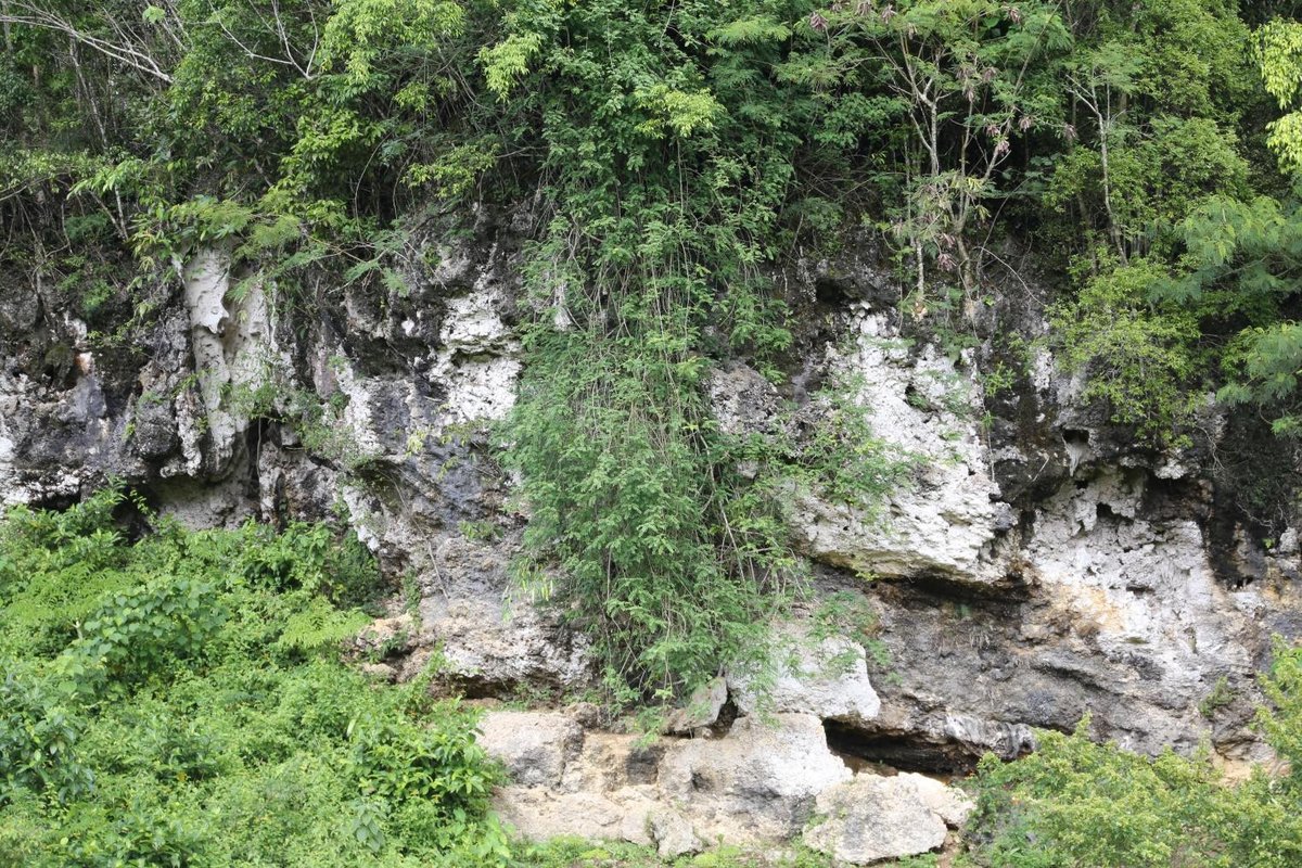 Unidentified