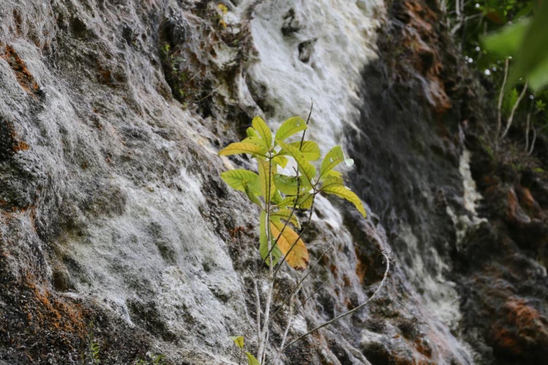Unidentified