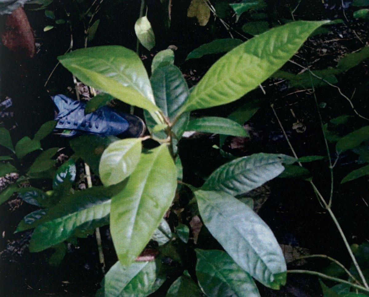 Unidentified
