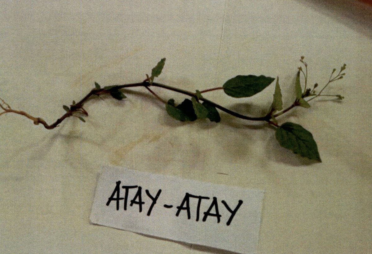 Unidentified