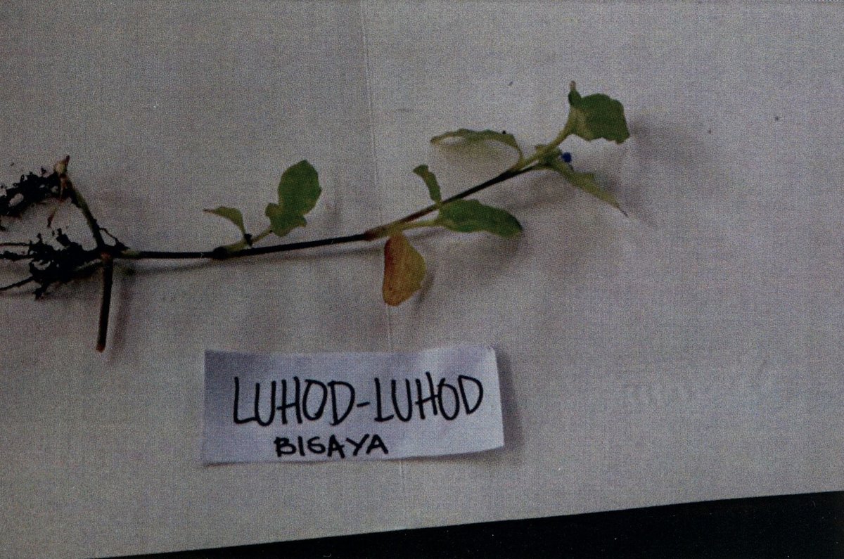 Unidentified