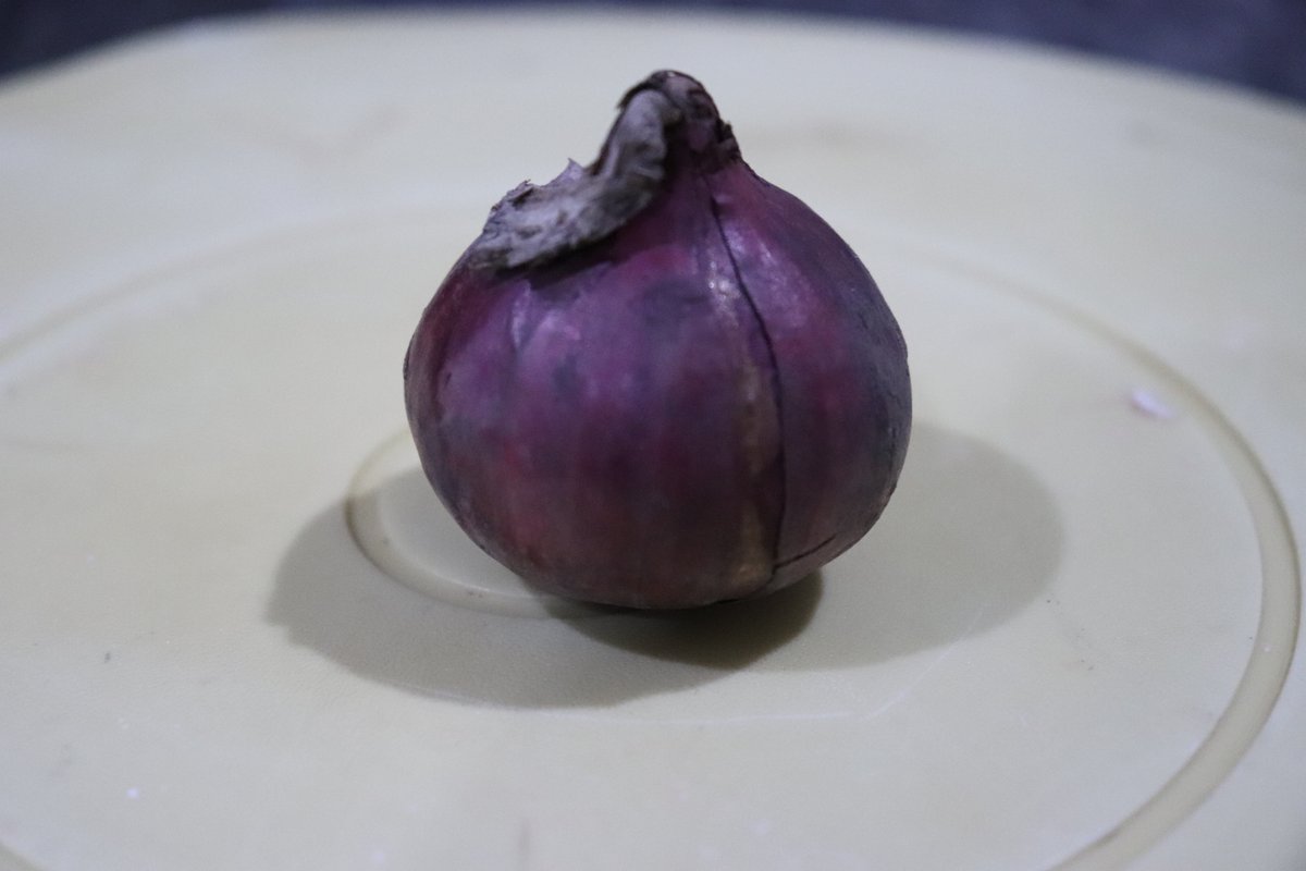 Onion (Eng.)