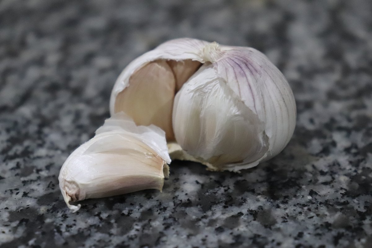 Garlic (Eng.), Bawang (Tag.)