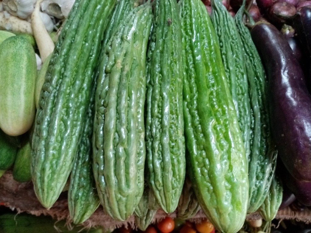 Bitter Melon or Bitter Gourd (Engl.), Ampalaya (Tag.)