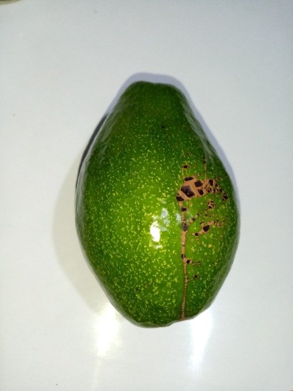 Avocado (Engl.), Abokado (Bis.)